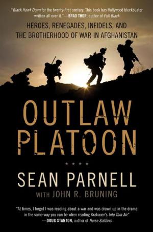Cover of the book Outlaw Platoon by Mary Daheim