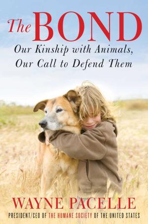 Book cover of The Bond: An Excerpt with Fifty Ways to Help Animals
