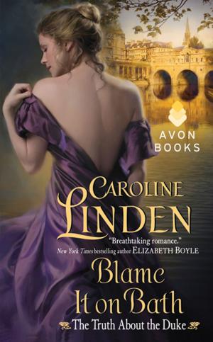 Cover of the book Blame It on Bath by Rachelle Morgan