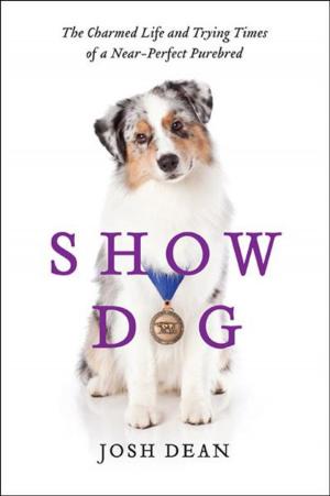 Book cover of Show Dog