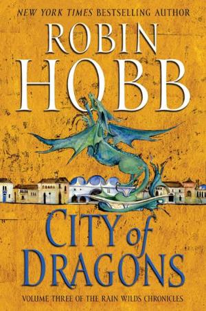 Cover of the book City of Dragons by Rati Mehrotra