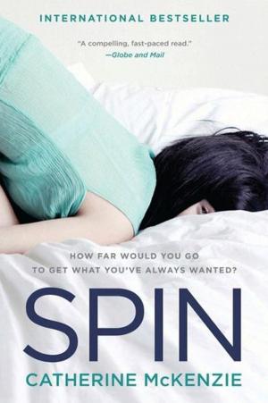 Cover of the book Spin by Hallie Ephron