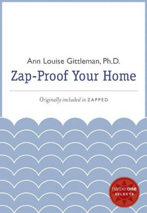 Book cover of Zap Proof Your Home
