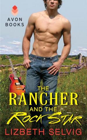 Cover of the book The Rancher and the Rock Star by Sophia Nash
