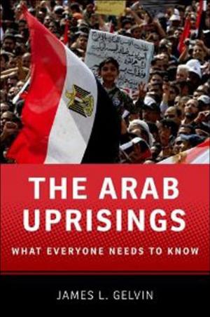Book cover of The Arab Uprisings:What Everyone Needs to Know