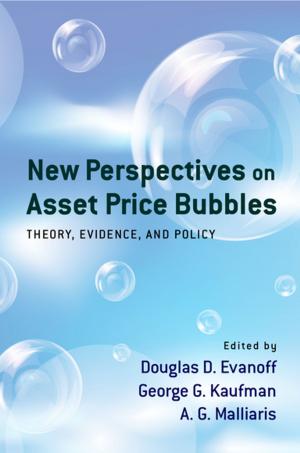 Cover of the book New Perspectives on Asset Price Bubbles by James E. Sowerwine