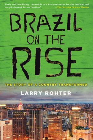 Cover of the book Brazil on the Rise by Carl E. Pickhardt, Ph.D.