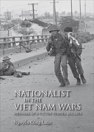 Cover of the book Nationalist in the Viet Nam Wars by Robin Hemley