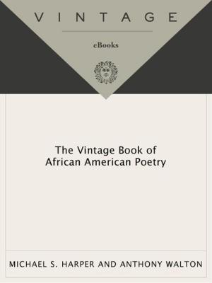 bigCover of the book The Vintage Book of African American Poetry by 