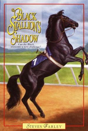 Cover of the book Black Stallion's Shadow by Kirby Larson