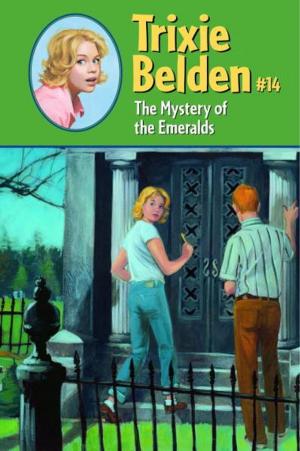Cover of the book The Mystery of the Emeralds by Karen Day