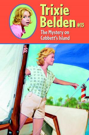 Cover of the book The Mystery on Cobbett's Island by Suzanne LaFleur