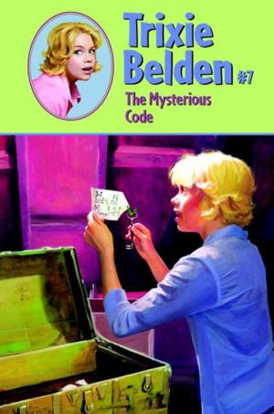 Cover of the book The Mysterious Code by Bob Staake