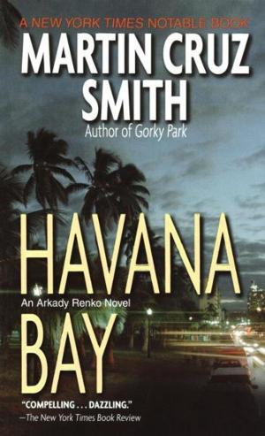 Cover of the book Havana Bay by JA Davies