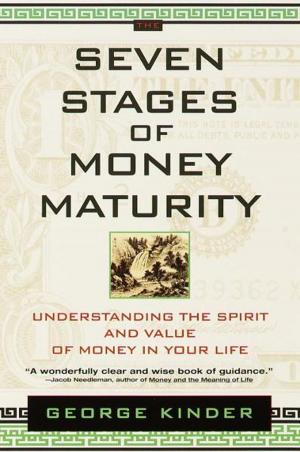 Cover of the book The Seven Stages of Money Maturity by Alice Borchardt