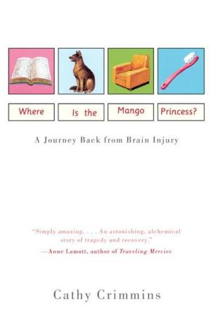 Cover of the book Where Is the Mango Princess? by Daniel Kehlmann