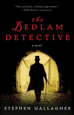 Cover of the book The Bedlam Detective by Janet Pywell
