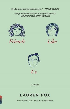 Cover of the book Friends Like Us by Himilce Novas, Rosemary Silva