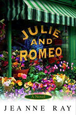 Book cover of Julie and Romeo