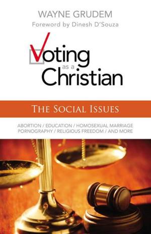 Cover of the book Voting as a Christian: The Social Issues by Devin Brown