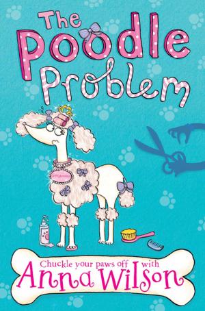 Cover of the book The Poodle Problem by Kathleen Jamie