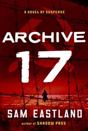 Cover of the book Archive 17 by Anita Liberty