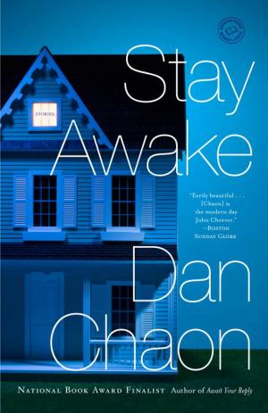 Cover of the book Stay Awake by Doris Haddock, Dennis Burke