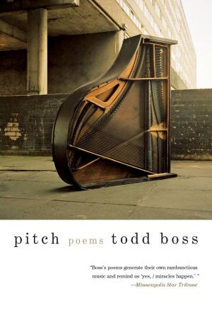 bigCover of the book Pitch: Poems by 