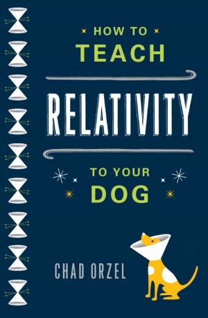 Cover of the book How to Teach Relativity to Your Dog by Jenny Block