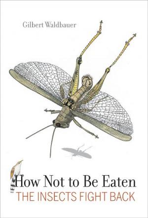 Cover of the book How Not to Be Eaten by David Ngaruri Kenney, Philip G. Schrag
