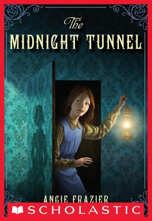 Cover of the book The Midnight Tunnel: A Suzanna Snow Mystery by J.E. Bright