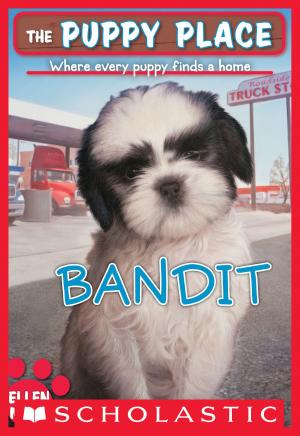 Cover of the book The Puppy Place #24: Bandit by Tony Abbott