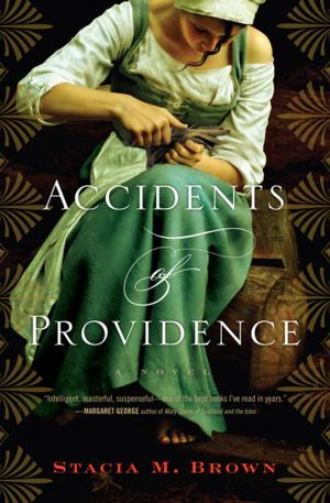 Cover of the book Accidents of Providence by H. A. Rey