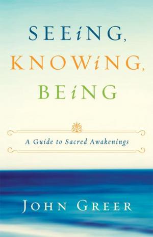 Book cover of Seeing, Knowing, Being: A Guide to Sacred Awakenings