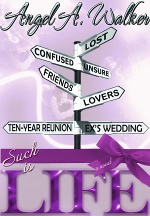Cover of the book Such is Life by Nicole Garber