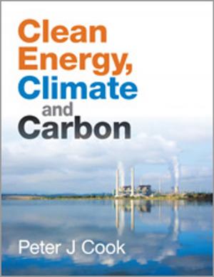 Cover of the book Clean Energy, Climate and Carbon by Bruce Thomson, Martyn Robinson