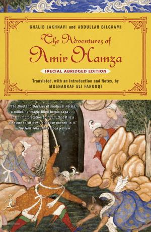 Cover of the book The Adventures of Amir Hamza by James Luceno, Matthew Stover