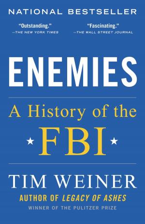 Cover of the book Enemies by Richard Hilary Weber