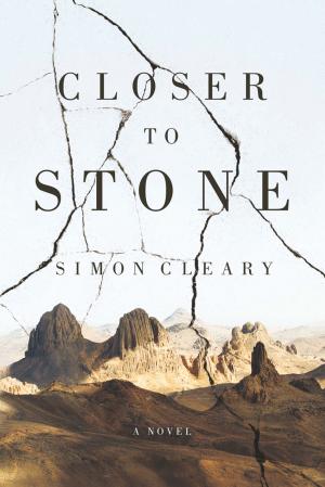 Cover of the book Closer to Stone by Rosanne Hawke