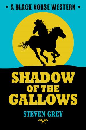 Cover of the book Shadow of the Gallows by Will DuRey