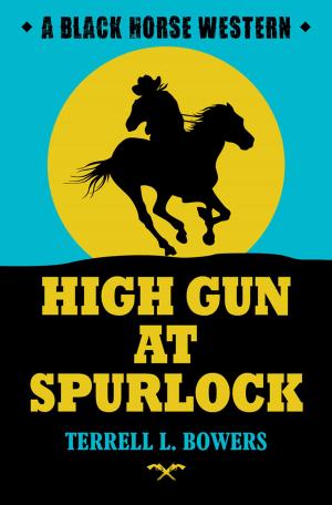 Cover of the book High Gun at Surlock by Terry James