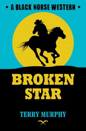 Cover of the book Broken Star by Harriet Cade