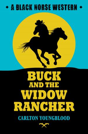 Cover of the book Buck and the Widow Rancher by Matt Laidlaw