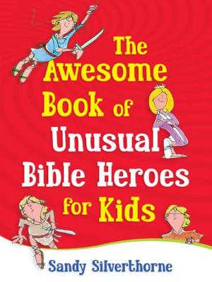Book cover of The Awesome Book of Unusual Bible Heroes for Kids