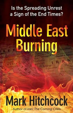 Cover of the book Middle East Burning by Michael Youssef