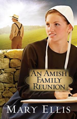 Cover of the book An Amish Family Reunion by Steve Chapman