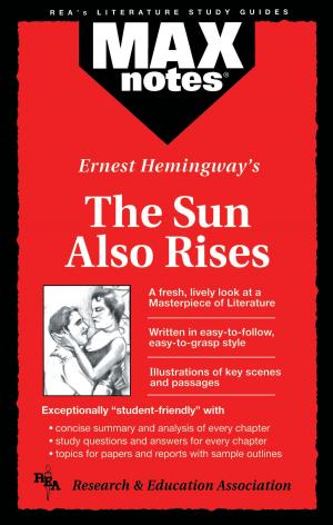 Cover of the book The Sun Also Rises by Stephen Stertz