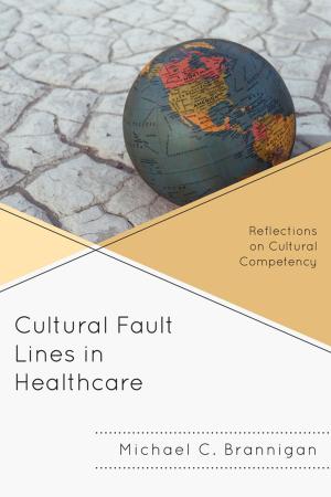 Cover of the book Cultural Fault Lines in Healthcare by Anita M. Waters
