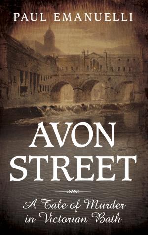 Cover of the book Avon Street by Allan Scott-Davies