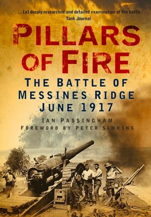 Cover of the book Pillars of Fire by Martin W. Bowman
